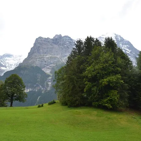 شقة Grindelwaldgletscher - Griwa Rent Ag جريندلوالد