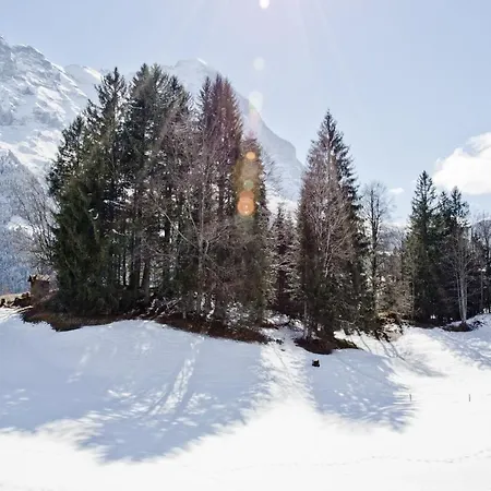 Grindelwaldgletscher - Griwa Rent Ag דירה גרינדלוולד
