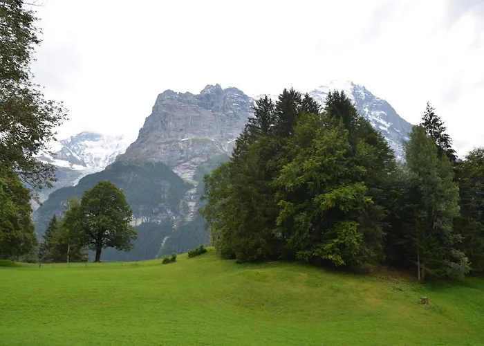 Appartamento Grindelwaldgletscher - Griwa Rent Ag Grindelwald