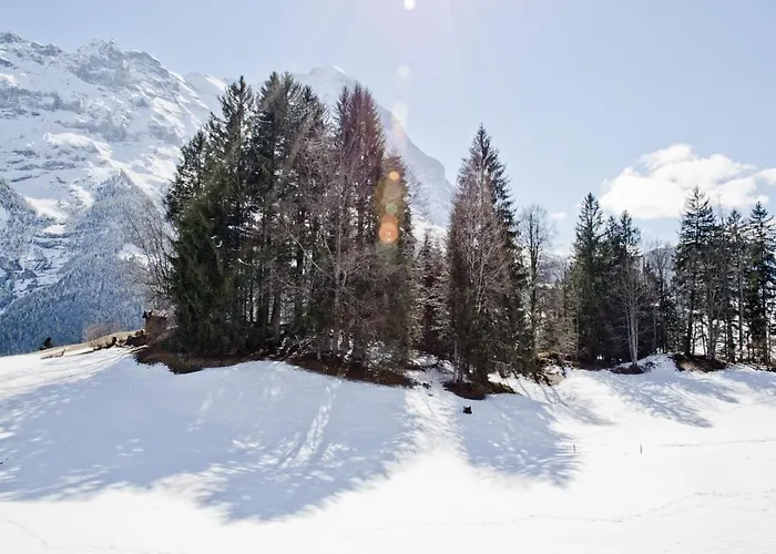 Grindelwaldgletscher - Griwa Rent Ag Apartmán Grindelwald