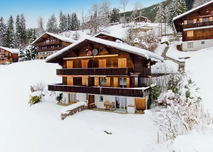 Grindelwaldgletscher - Griwa Rent Ag